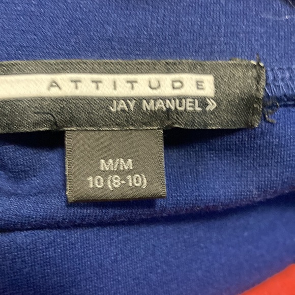 Attitude Jay Manuel’s blue with red stripes skirt - Picture 3 of 4